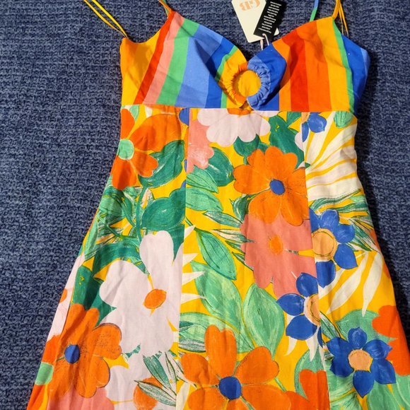 Medium-sized - Picture 6 of 7